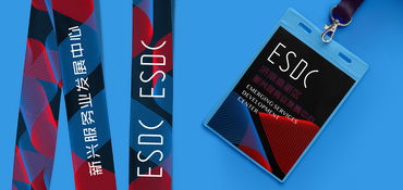 塑造品牌形象，激发创新活力——济南高新区新兴服务业发展中心视觉形象策划与美术图案设计服务